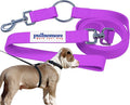 No-Pull Dog Leash, Chew Resistant, Waterproof, Durable PVC Material, Multiple Sizes and Colors (Purple, Large)