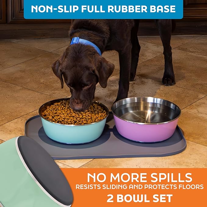 Master Pet Supply Stainless Steel Dog Bowls Set of 2 (64 Oz Each) with Non-Slip Rubber Base - Pistachio - Basic Dog Food Bowl Water & Food Bowls for Small Medium Large Dogs & Cats, Metal Dish