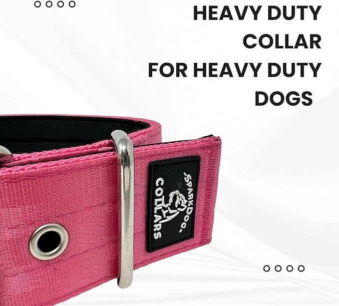 SparkDog Collars Working Dog Collar - 2" 4ply Padded Dog Collar Heavy Duty Stainless Steel Tactical Seatbelt Wide Buckle Collar (Pink 2.0, 16-21" Large)