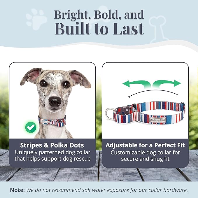 Lucky Love Dog - Adjustable Dog Collar with Easy Click Buckle for Medium, Durable, & Comfortable for Male & Female Dogs, Pet Collar for Puppies & Adult Dogs - Linus, Medium