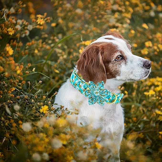 Elegant little tail Dog Collar with Flower, Flower Girl Dog Collar for Female Dogs Blue Bee Pet Collar Gift Adjustable Dog Collars with Flowers for Small Medium Large Dogs