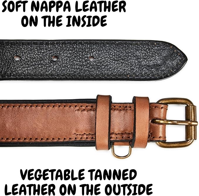 Real Leather Dog Collar Padded Soft Interiors with Premium Vintage Look Handcrafted Heavy Duty with Tag Ring for Small Medium and Large Pets (Medium (1.25" Wide for 13.5" - 17.5" Neck), Cognac)