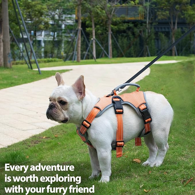 Huntboo Escape Proof Dog Harness, Escape Artist Harness, Reflective Dog Harness with Handle, Durable,Adjustable Vest for Small Medium Large Dogs Walking, Training, and Running Gear(Orange,L)