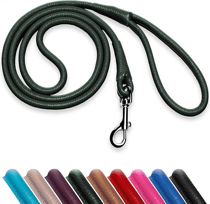 OOPSDOGGY Rolled Leather Dog Lead 6ft Heavy Duty Training Leash for Small Medium Large Dogs & Puppy Black Brown Red (Green, Small)