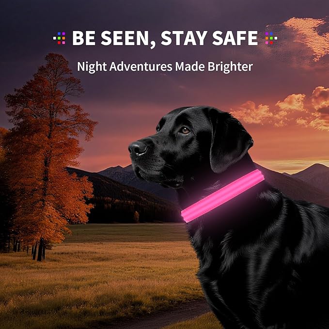 PetIsay Dog Light up Collar for Night Walking - High Visibility LED Dog Collar - Rechargeable - Waterproof - Reflective - Adjustable Lighted Glow Collars(Pink, Medium)