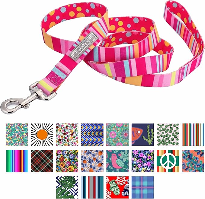 Lucky Love Dog Leash – Soft, Durable, and Comfortable Leash with Vibrant Patterns – Stylish and Long Lasting for Small Male and Female Dogs – Molly, Small