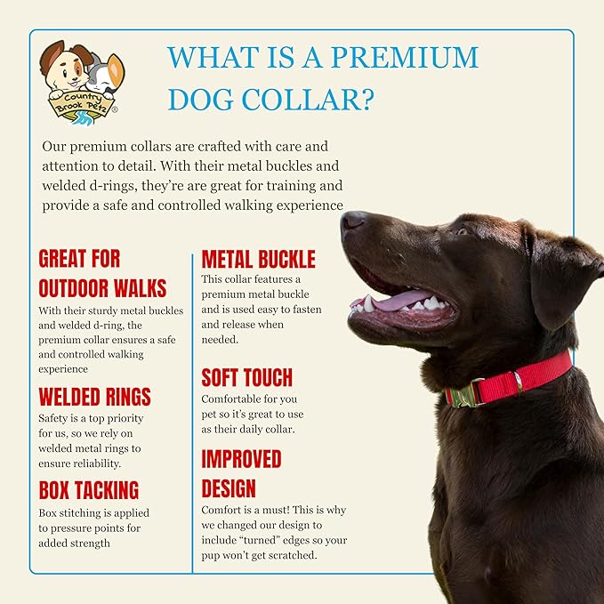 Country Brook Petz - Premium Nylon Dog Collar with Metal Buckle for Small Medium Large Breeds - 10+ Warm Colors (Small, 3/4 Inch, Brown)