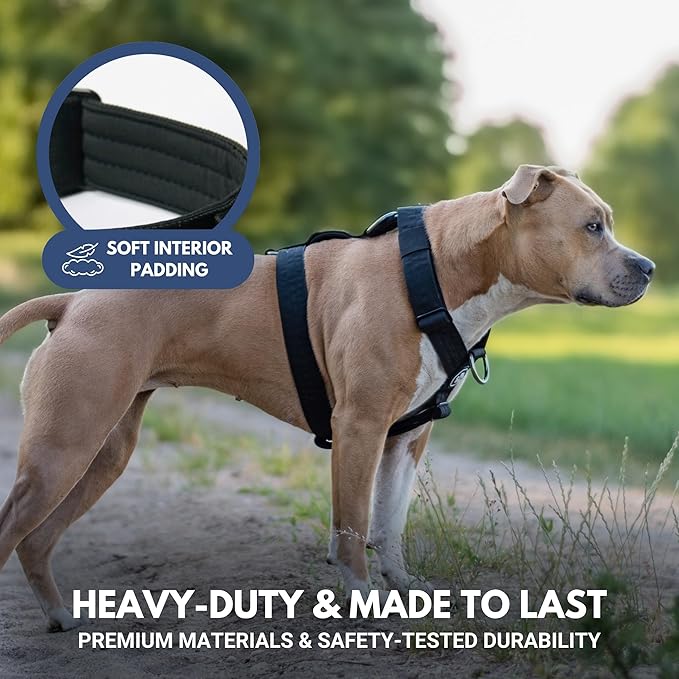 Spark Paws No Pull Dog Harness for Large Dogs, Heavy Duty Dog Harness for Big Strong Breeds, Adjustable, Y Shaped Padded Halter Design with Front Clip - Black - S