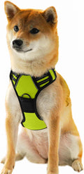 Ziggy Pet Dog Harness Adjustable Nylon Mesh Vest with Leash Clips (Green, Extra Large)