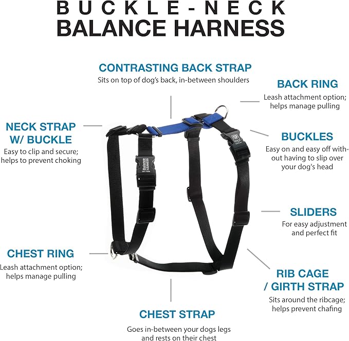 Blue-9 Pet Products No-Pull Balance Harness and Loose Leash Walking Set Dogs, Made in The USA, Blue, Small
