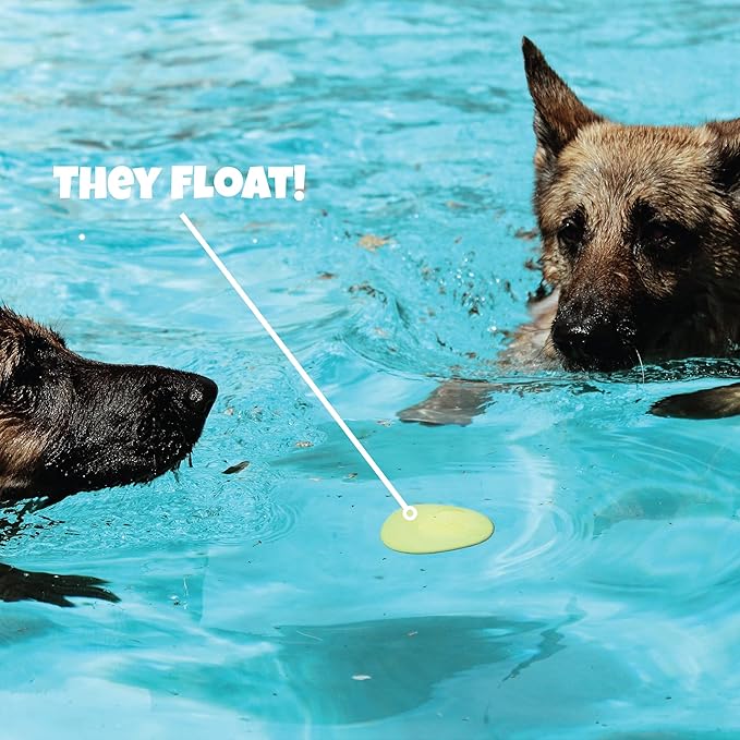 Skip NN' Fetch Small/Medium Floating Dog Toys Qty 2 | Stone Skipping Meets Fetch | Fun for Swimming Pool, Lake, Beach, and Land | Perfect Floating Water Toys for Small/Medium Dogs |