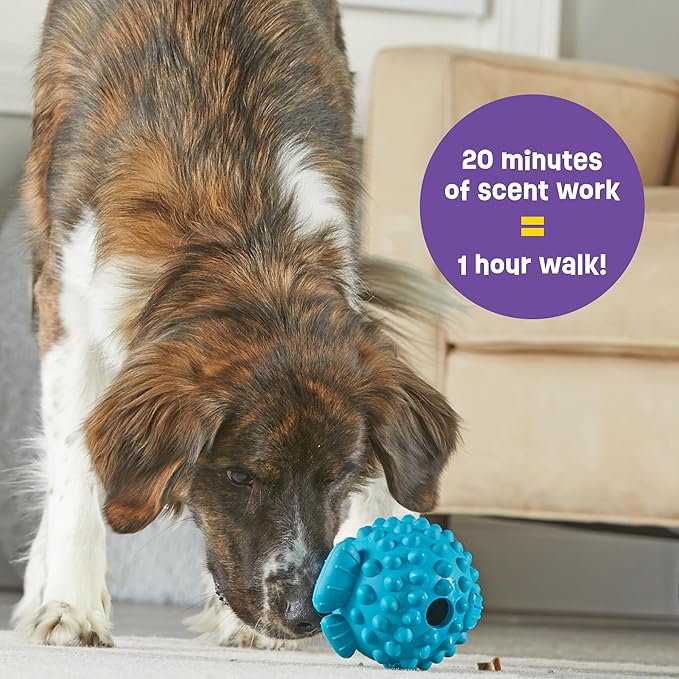 Brightkins Tough & Tumble Treat Dispenser Large Pufferfish - Interactive Dog Puzzle Toy for All Breeds, Enrichment Gifts for Puppies