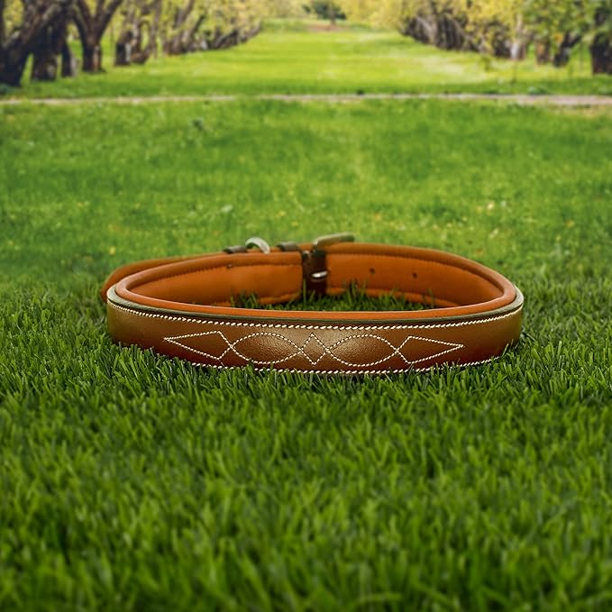 Exion Geniun Leather Dog Collar Designer Stitched Soft Leather Padded- Suitable for Small Medium Large X-Large Dogs for Walking Running- Conker with Conker Padding