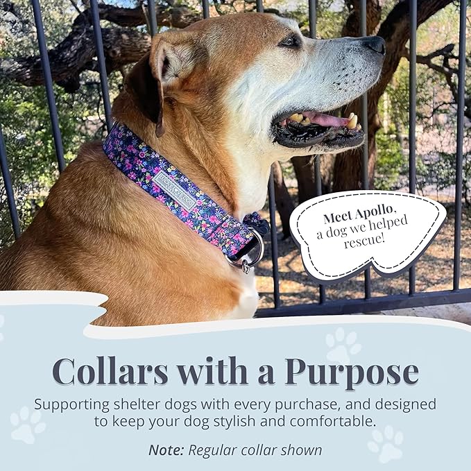 Lucky Love Dog Wide Martingale Dog Collar - No-Slip, Durable, & Soft Webbing 1.5 inch Martingale Collar for Dogs Male and Female Ideal for Training & Walking - Primrose, Medium