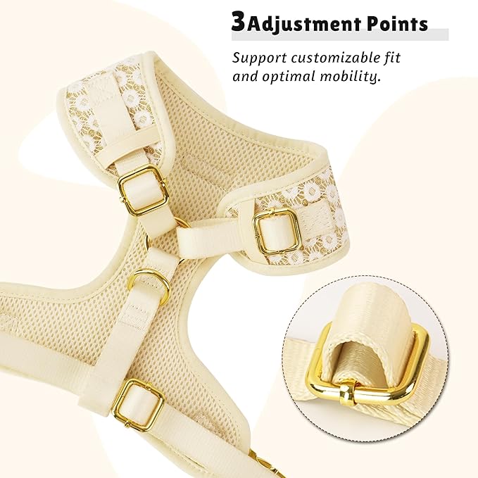 No Pull Dog Vest Harness for Small&Medium Dogs, Side Clip Adjustable Pet Vest, Soft Breathable, Fashion Dog Harnesses for Walking, Running, Shopping (Gold, XXS)