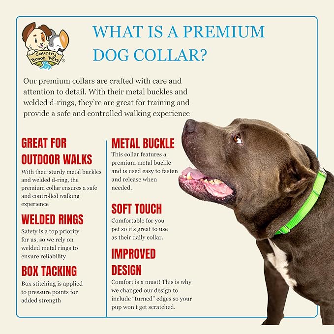 Country Brook Petz - Premium Nylon Dog Collar with Metal Buckle for Small Medium Large Breeds - 10+ Cool Colors (Medium, 3/4 Inch Wide, Hot Lime Green)