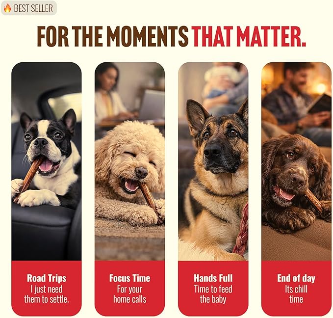Natural Farm Odor Free Bully Sticks (2-3 Inch, 1 Pound) for Small & Medium Dogs - 100% Beef Chews for Pups, Non-GMO, Grain-Free, Fully Digestible Long Lasting Dog Treats