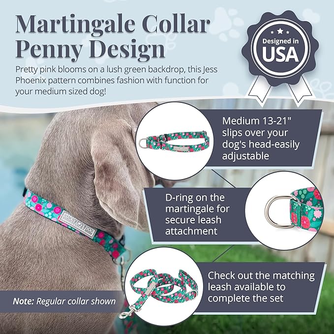 Lucky Love Dog Martingale Dog Collar - Adjustable, No-Slip, Durable, & Soft Webbing Collar for Male and Female Dogs Ideal for Training & Walking - Penny, Medium