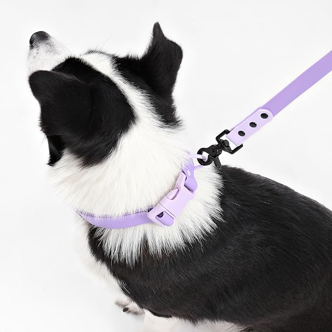 WLK1006H-5SET Luna Large 8FT Adjustable 6-in-1 Waterproof Hands-Free Leash and Collar with LED Flashlight, Bag Dispenser, and Poop Bag Holder, Bramble
