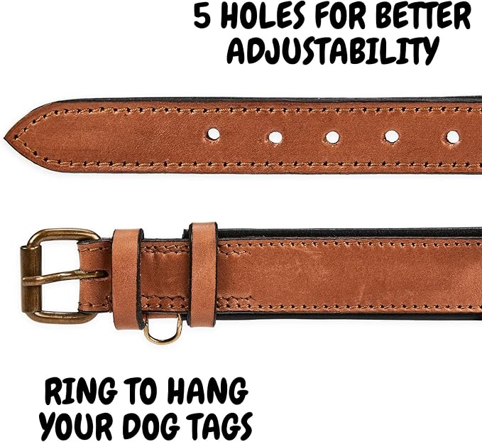 Real Leather Dog Collar Padded Soft Interiors with Premium Vintage Look Handcrafted Heavy Duty with Tag Ring for Small Medium and Large Pets (Medium (1.25" Wide for 13.5" - 17.5" Neck), Cognac)