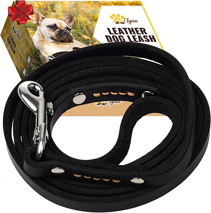 ADITYNA - Premium Leather Dog Leash - 6 ft, Heavy-Duty, Soft & Strong for Small/Medium Dogs (Small: 6 ft x 1/2", Black)