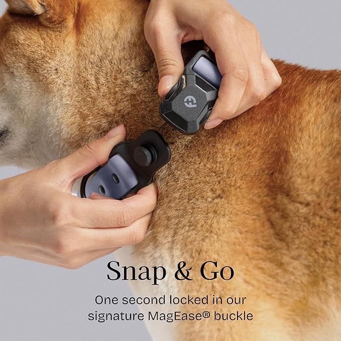 2026 New Edition, Fei & Eve PVC MagEase Dog Collar - Patented Magnetic Buckles | Fur-Safe | 450LB Escape-Proof | Adjustable Fit | Large (Twilight Gray)