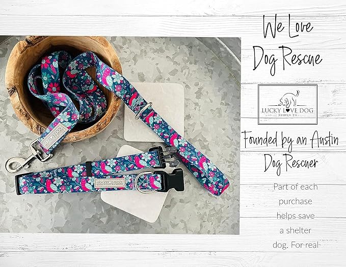 Lucky Love Dog - Easy Click Buckle Dog Collar with Leash Set Combo, Durable & Comfortable for Male & Female Dogs, Pet Collar for Medium Dogs, Secure Fit - Carriebelle Combo, Medium
