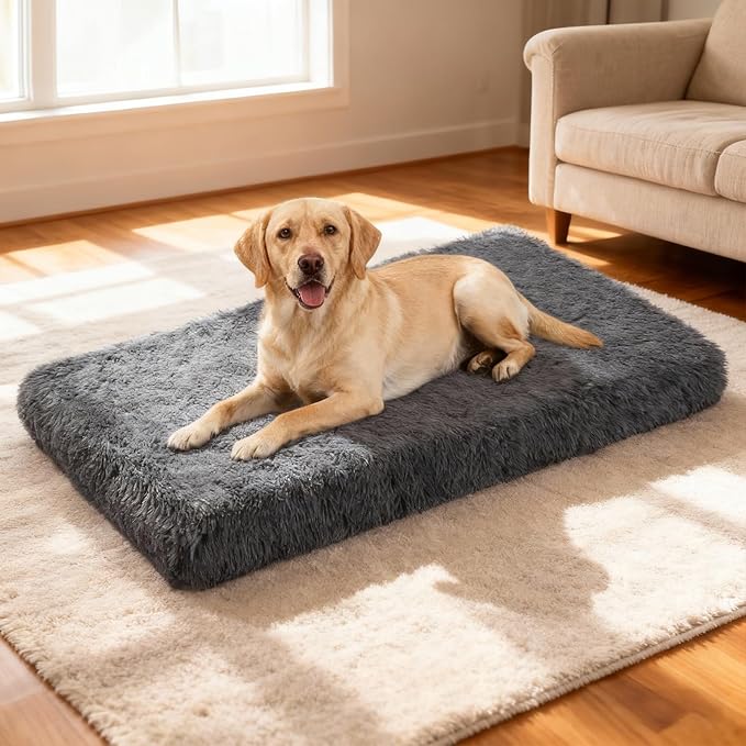 Orthopedic Dog Bed for Large Dogs, Dual-Layer Memory & Egg-Crate Foam, Washable Warm Winter Plush Cover, Waterproof Liner, Non-Slip Bottom, Crate/Kennel Pad, 41 x 27 Inch, Dark Gray