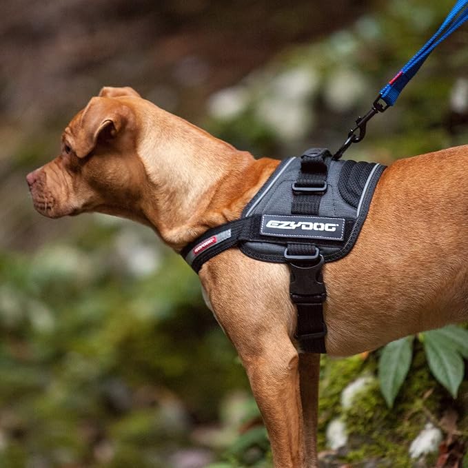 EzyDog Convert Dog Harness – Trail-Ready Rugged Harness for Walking, Hiking & Outdoors with Reflective Piping, Badge Attachment Points, Traffic Handle, & Comfort Lining (X-Small, Charcoal)