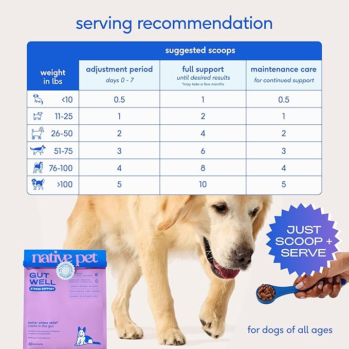 GutWell Stress Support - Dog Anxiety Relief & Calming Treats - Tasty Food Topper for Dog Stress and Anxiety Relief - Support Gut-Brain Axis with Triple-biotic Blend & Magnesium - 120 Scoops