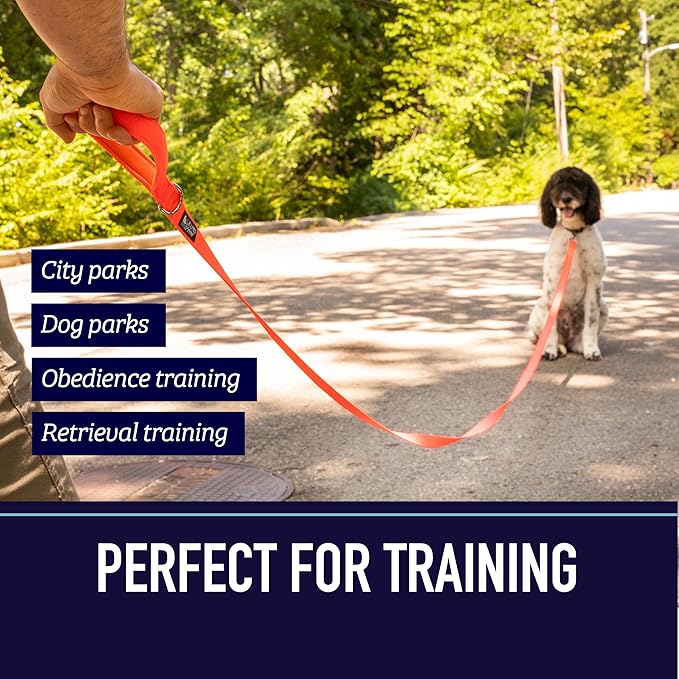 Leash Boss 15 Foot Dog Leash with Padded Handle - Long Leash for Hiking, Camping, Exploring, or Walking (15 Ft, Black/Red/Grey)