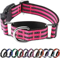 Hikiko Martingale Dog Collars Reflective Nylon Dog Collar with Quick Release Buckle Adjustable Training No Slip Dog Collar (X-Large, Hot Pink)