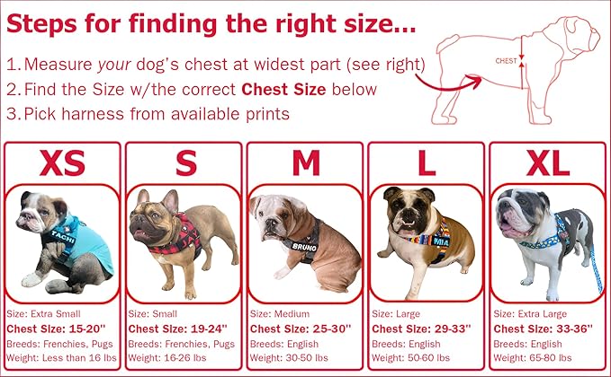 BULLHUG Adjustable Dog Harness– No Pull, No Choke – for English Bulldogs, French Bulldogs, Pugs & Broad-Chested Breeds – Easy, Safe Walks (Fries, XL)