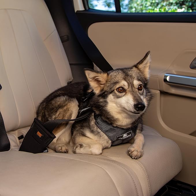 Clickit Sport Plus - Crash-Tested and Safety Certified Car Seat Belt Harness for Dogs (Small, Charcoal Grey)