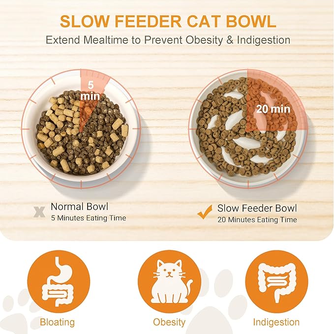 Anti-Bloat Ceramic Slow Feeder Bowl - Fish Pool Design Interactive Puzzle Feeder for Cats & Small Dogs, Food-Safe Porcelain Healthy Eating Dish (White-Ceramic)
