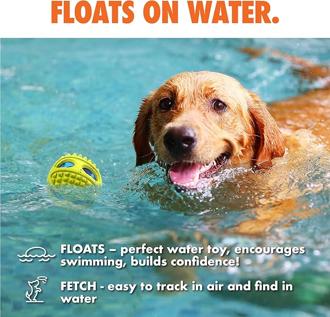 Max Fusion Made with Nike Grind, Arlee Meteor Ball Dog Toy, Toys for All Dogs, Durable & Natural Rubber Chew Toy for Play, Fetch & Chewing, Medium, Blue, 1 Count