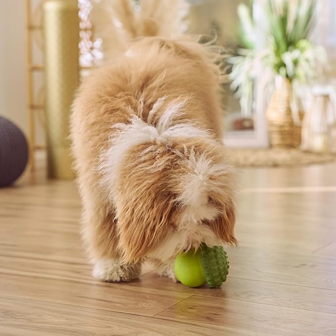 SPOT Treat Tumbler Broccoli – Freezable & Fillable Treat Dispensing Dog Toy for Small & Medium Dogs, Silicone, Easy to Clean, Interactive, Holds Small Kibble & Soft Snacks, 4.38 in