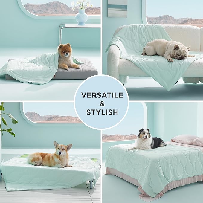 Bedsure Premium Cooling Blanket for Small Dog - Q-MAX>0.5, Breathable Summer Washable Cold Pet Throw Blanket, Soft Durable Self Cooling Cat Mat for Hot Weather, Turquoise Green, 25x35