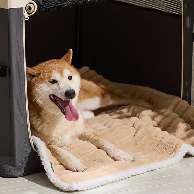 Bedsure ComfyFleece Waterproof Dog Blankets for Large Dogs - Soft Pet Cat Blanket Corduroy Fleece for Couch Protector Washable, Cozy Calming Reversible Furniture Protection,40"x50", Tuscan Beige