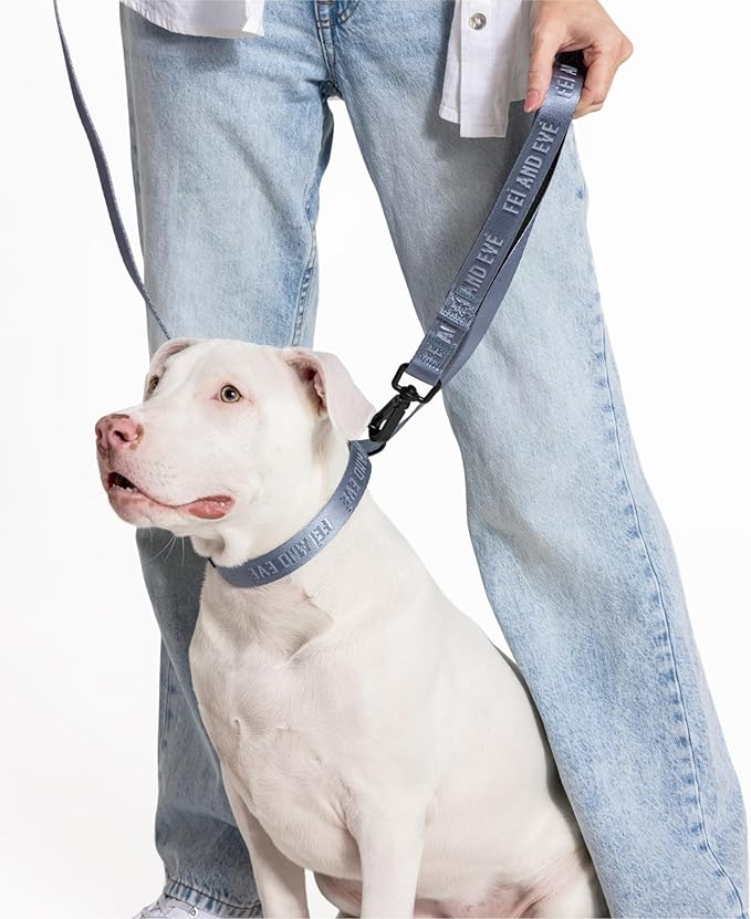 2026 New Edition, Fei & Eve Classic Dog Collar - Quick Release Metal Buckles | Fur-Safe | Premium 210D Nylon | 450LB Escape-Proof | Adjustable Fit | Small (Dusk Blue)