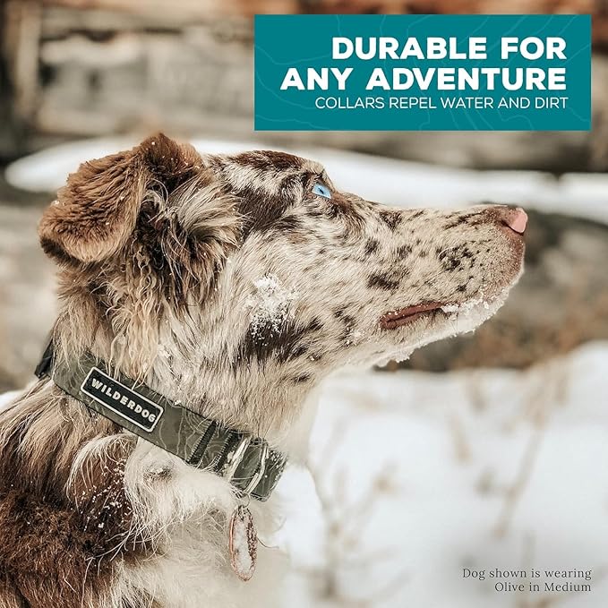 Wilderdog Waterproof Dog Collar - Repels Water & Dirt - Medium 13"-18" - Olive