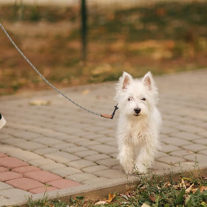 Mile High Life Small Dog Leash, Thin Rope Leash with Genuine Leather Connection and Heavy Duty Metal Clasp, Great for Small Medium Dogs(White,60 Inch-1/3)