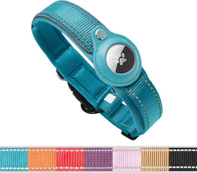 BelleBête & Co. AirTag Dog Collar – Pet Tracking Collar with Patented Anti-Loss Design, Durable and Reinforced Nylon, All-Day Comfort, Stylish Color for Medium and Large Dogs (Teal, M: 15"-17.7")
