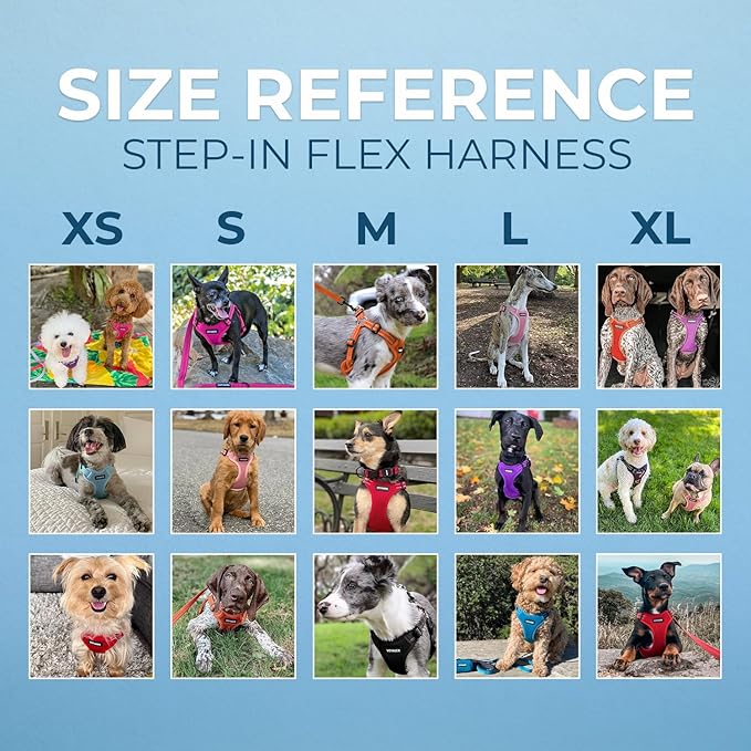 Best Pet Supplies Voyager Adjustable Step-in Flex Breathable Mesh Dog Harness for Small Medium Large Dogs (Army/Black Trim), XL