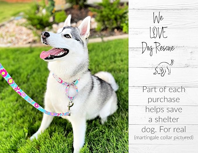 Lucky Love Dog Martingale Collar, Premium No Slip Martingale Collar for Medium Dogs, Great for Whippets, Greyhounds, and More (Caroline, Medium)