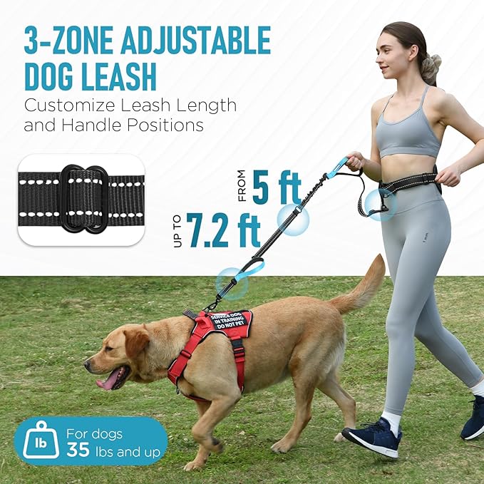 Hands Free Dog Leash, Waist Bungee Leash for Large Dogs, 6-8ft Adjustable Heavy Duty Leashs(50-120 lbs)