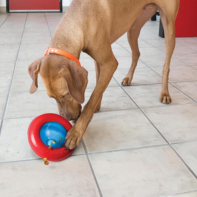 KONG Gyro - Interactive Dog Toy for Treat Dispensing - Dog Slow Feeder for Healthy Eating - for Medium/Large Dogs