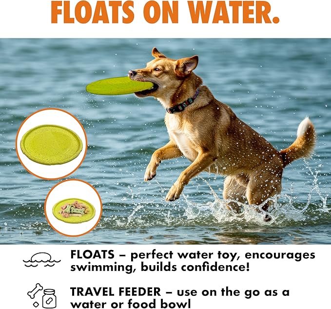 Max Fusion with Nike Grind, Arlee Frisbee Dog Toy, Chew Toy for Play, Fetch, Tug, L