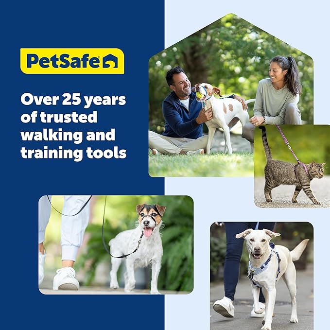 PetSafe KeepSafe Collar for Dogs - Protects Against Collar Accidents - Long Lasting - Durable - Adjustable - Breakaway - Outdoor-Safe - Large - 1 in. Wide - Black