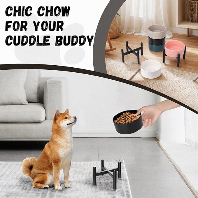 Raised Ceramic Dog Bowl - Elevated Food Water Dish with Stainless Steel Stand - for Small to Medium Dogs - 6 Inch - 2 Cups (28.75 fl oz) - White